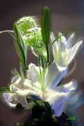 Bouquet-Sylvie-24x36.jpg