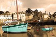 Le-tout-va-bien-24x36.jpg